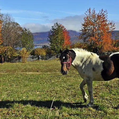Pensiunea Adolescenta Poiana Uzului