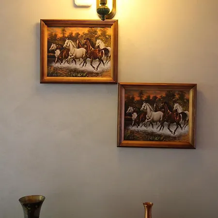 Guest house Pensiunea Adolescenta