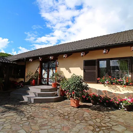 Pensiunea Adolescenta Guest house Poiana Uzului